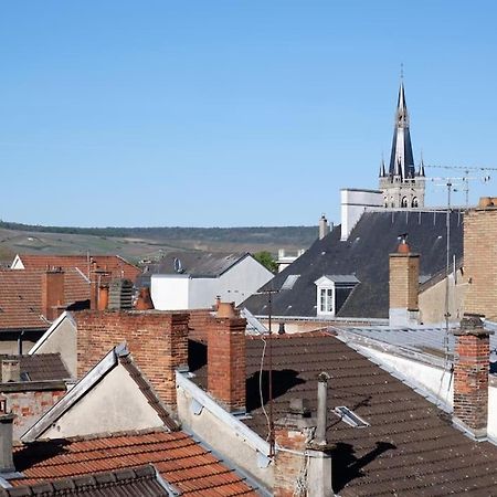 E Centre Ville Professeur Langevin Spacieux Cosy Epernay Bagian luar foto